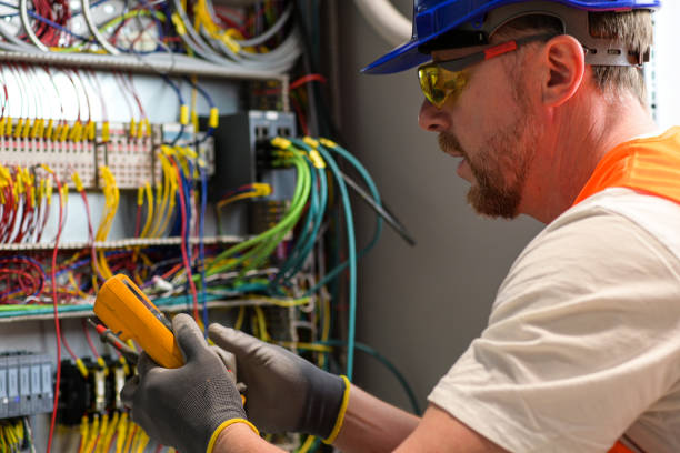 Best Electric Panel Repair  in Sun Prairie, WI